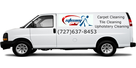 carpet cleaners ruskin